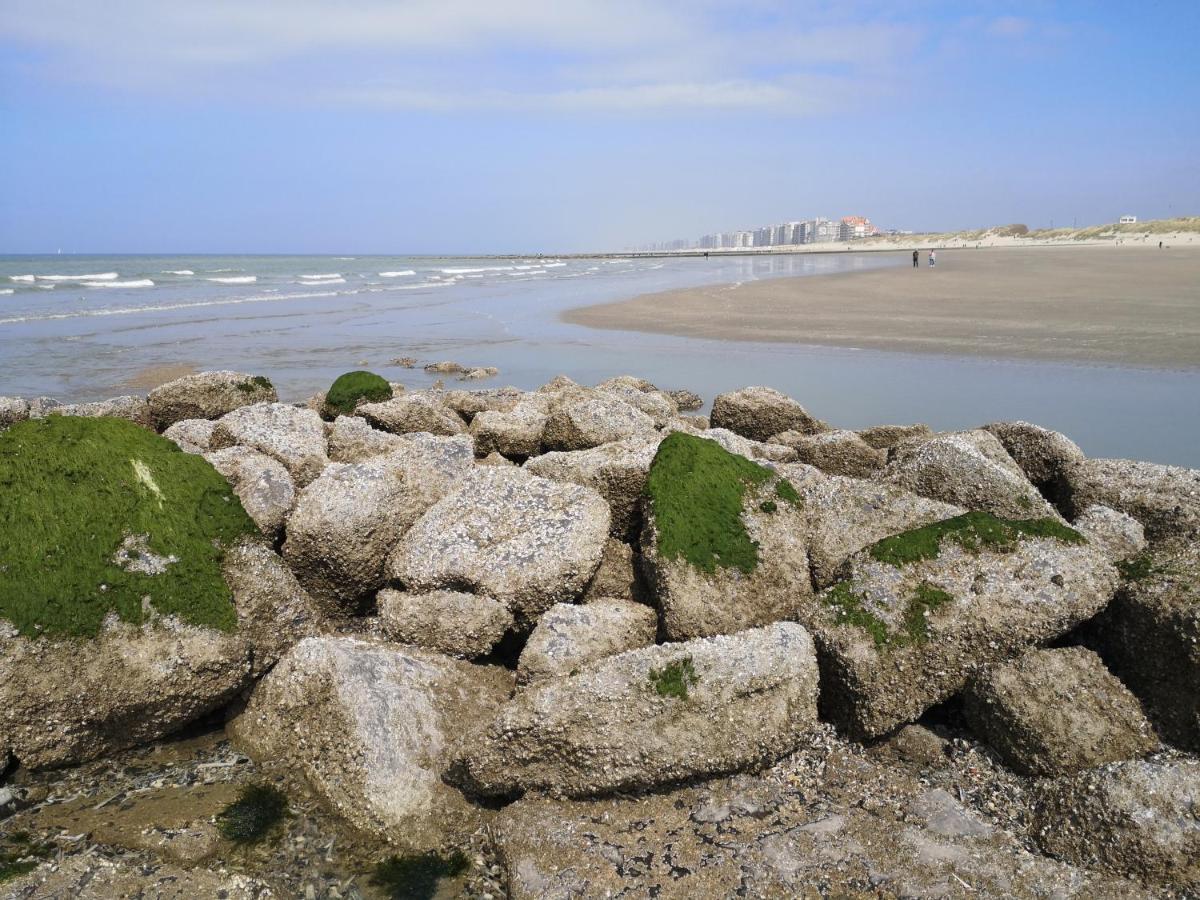 Westeinders Sea View Middelkerke Ngoại thất bức ảnh